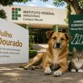 Imagem Destacada